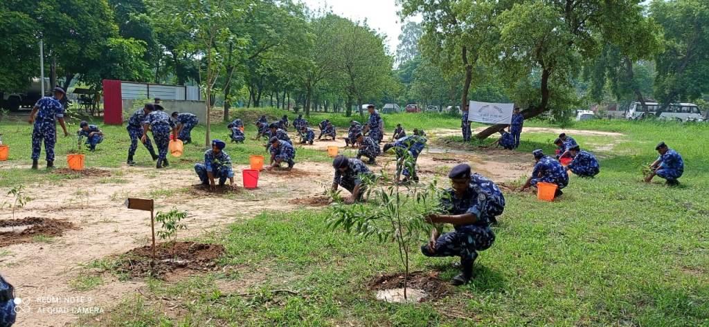   पौधारोपण-२०२३